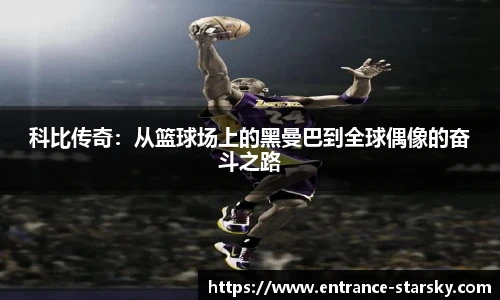 星空体育在线官网